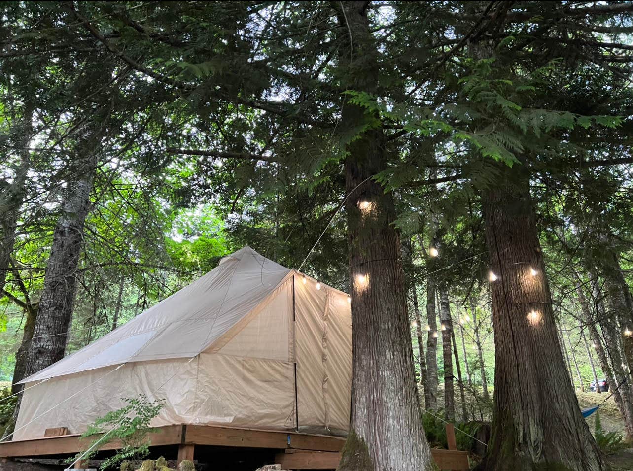 Jeremy R.'s photo at Shadow Mountain RV Park and Campground near Joyce, WA