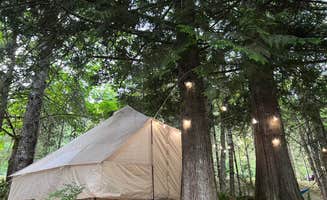 Jeremy R.'s photo at Shadow Mountain RV Park and Campground near Joyce, WA