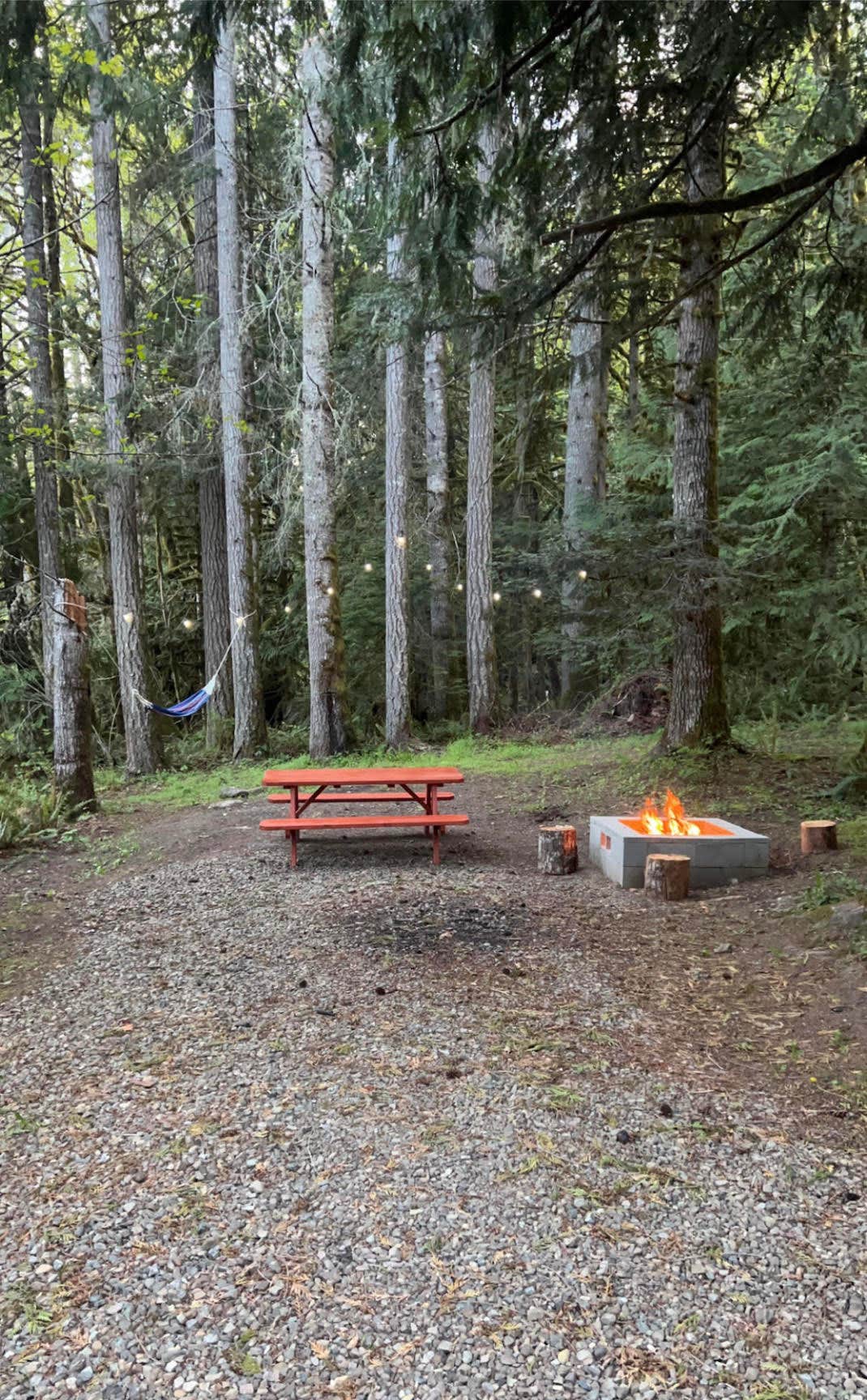Shadow Mountain RV Park and Campground Joyce, WA