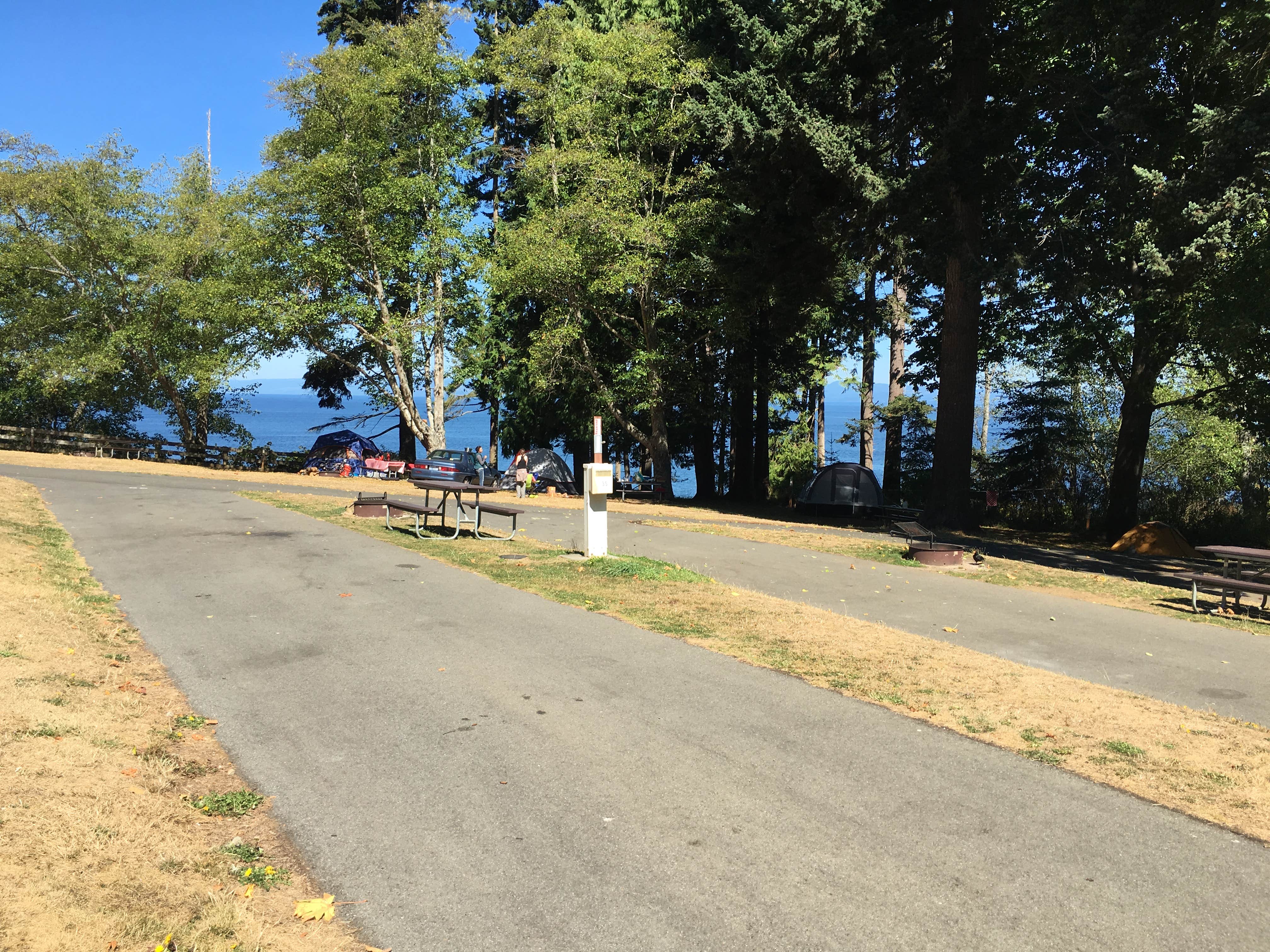 Camper submitted image from Salt Creek Recreation Area - 4