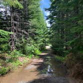 Review photo of NF2656 - Mt. Hood Dispersed Camping by Kevin L., June 17, 2023