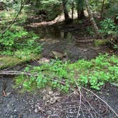 Review photo of NF2656 - Mt. Hood Dispersed Camping by Kevin L., June 17, 2023