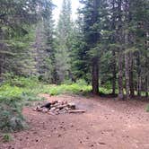 Review photo of NF2656 - Mt. Hood Dispersed Camping by Kevin L., June 17, 2023