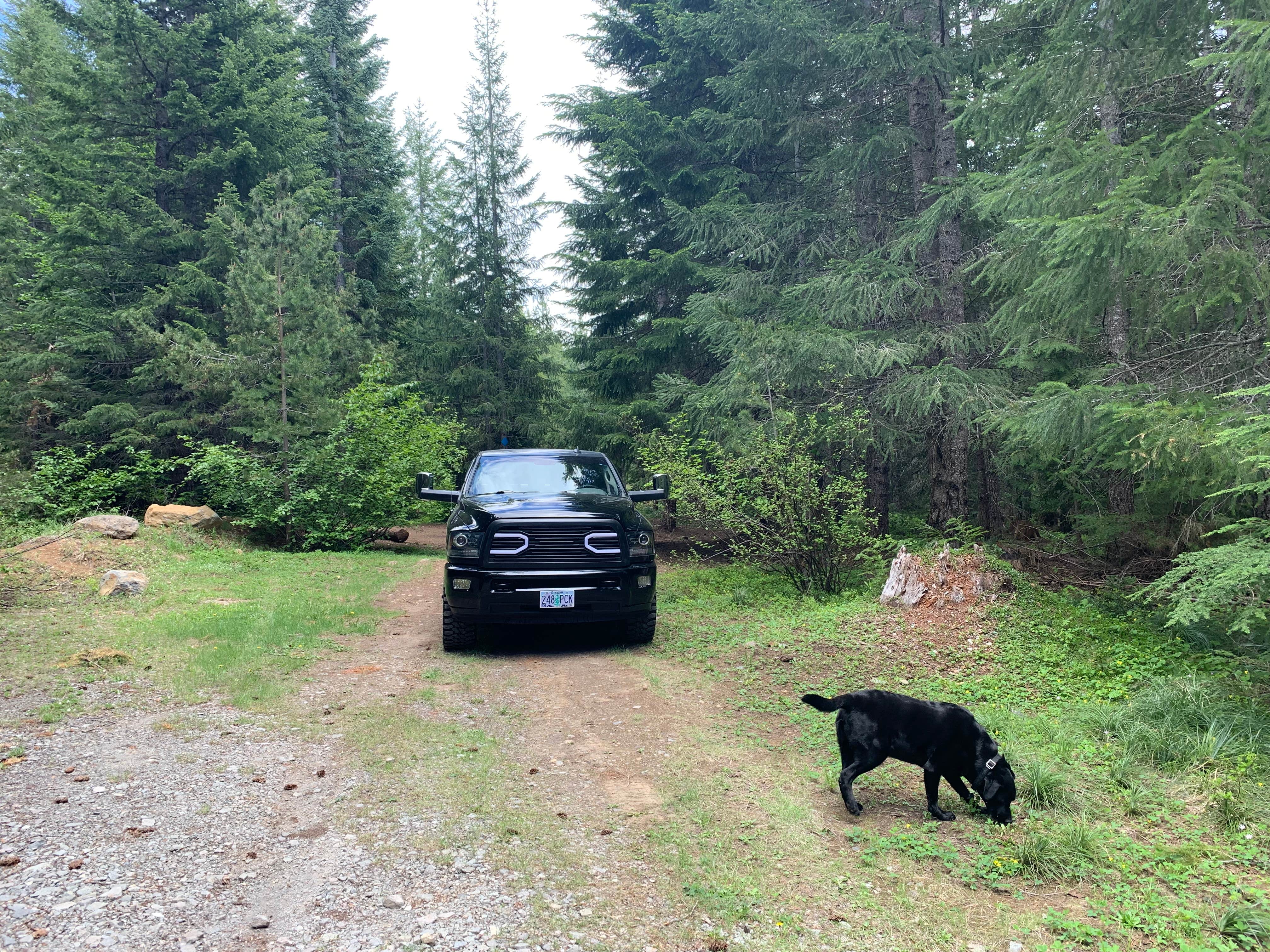 Camper-submitted photo at NF2656 - Mt. Hood Dispersed Camping near Mt. Hood National Forest