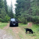 Review photo of NF2656 - Mt. Hood Dispersed Camping by Kevin L., June 17, 2023