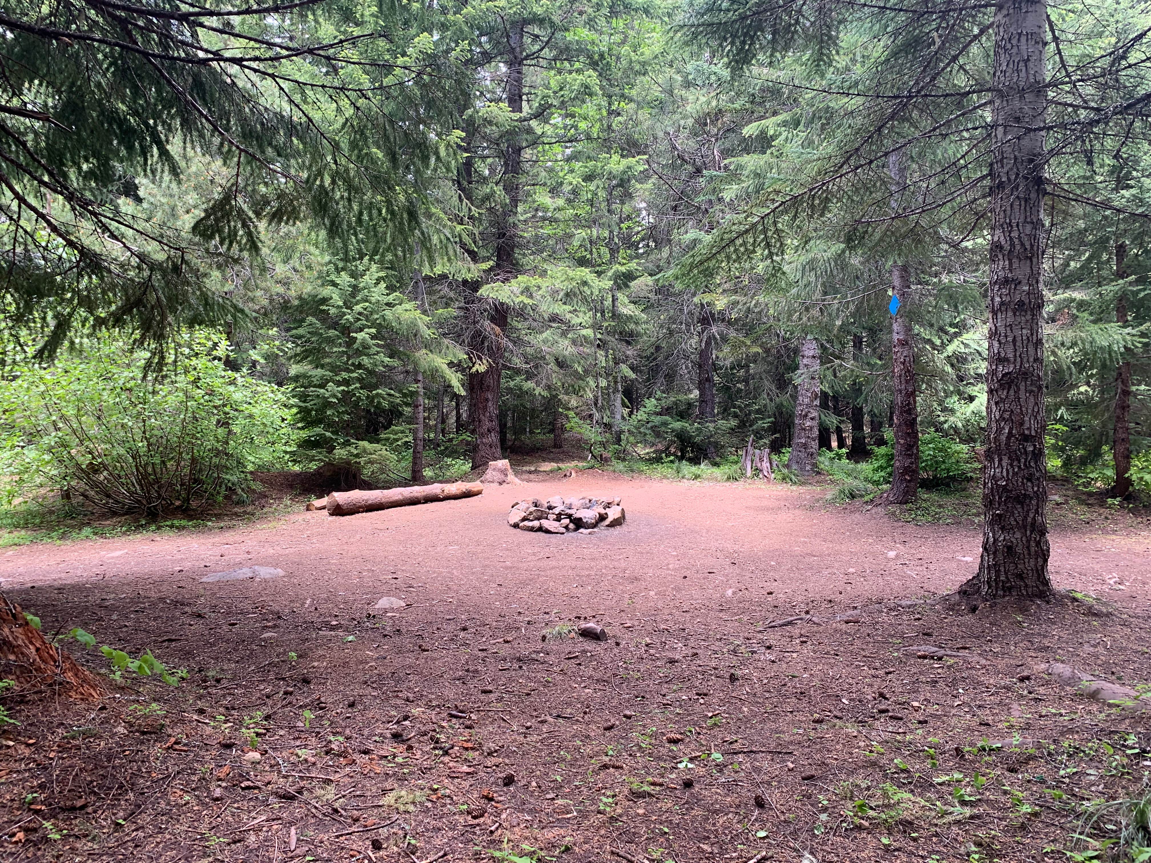 Camper-submitted photo at NF2656 - Mt. Hood Dispersed Camping near Mt. Hood National Forest