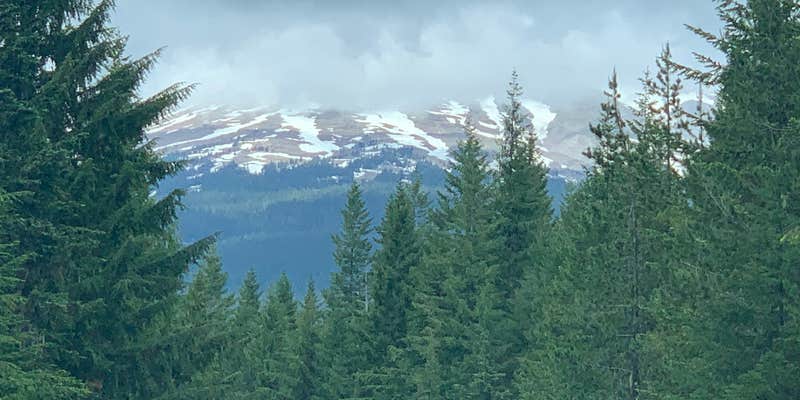Camper submitted image from NF2656 - Mt. Hood Dispersed Camping