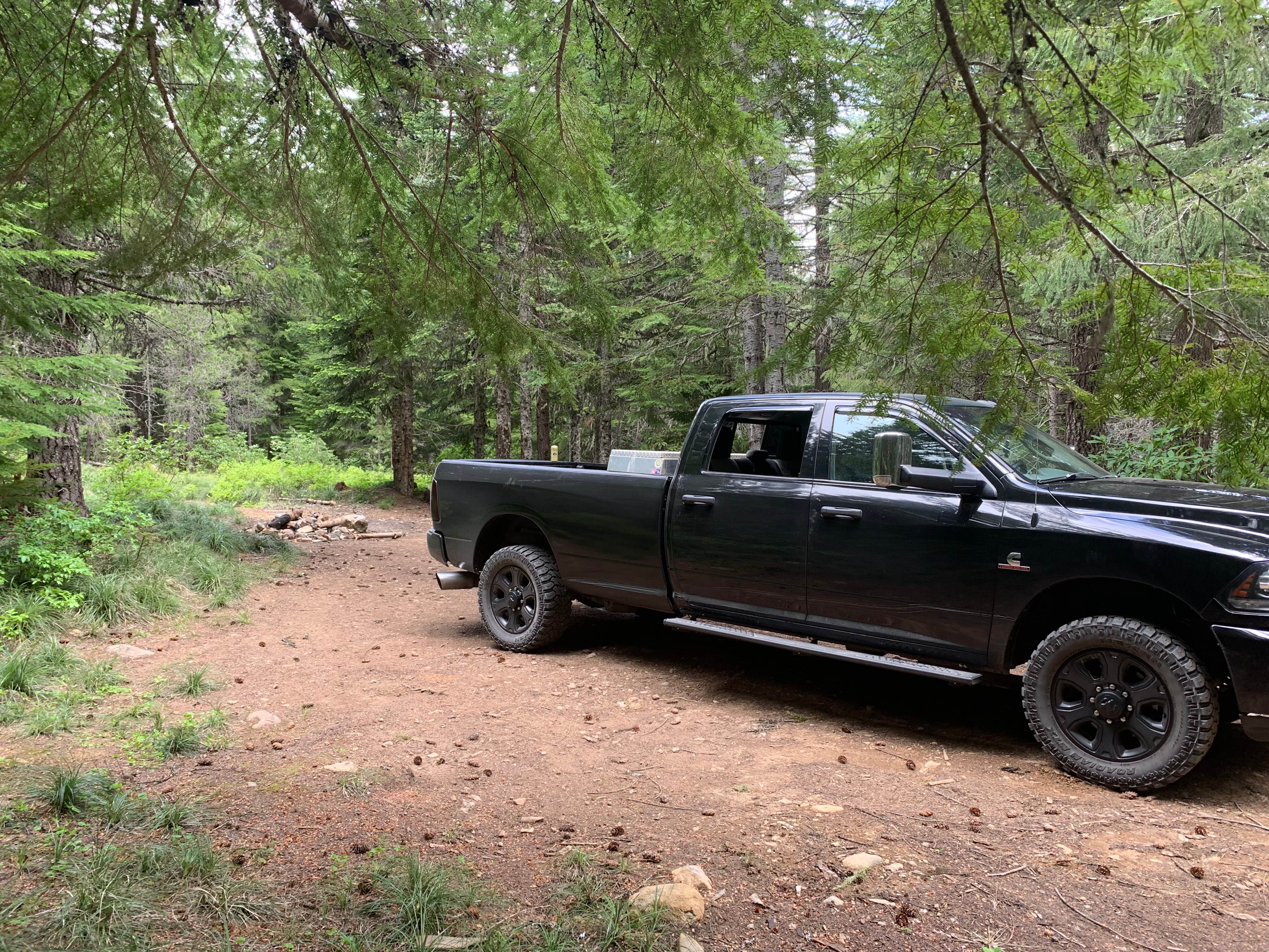 Camper-submitted photo at NF2656 - Mt. Hood Dispersed Camping near Mt. Hood National Forest
