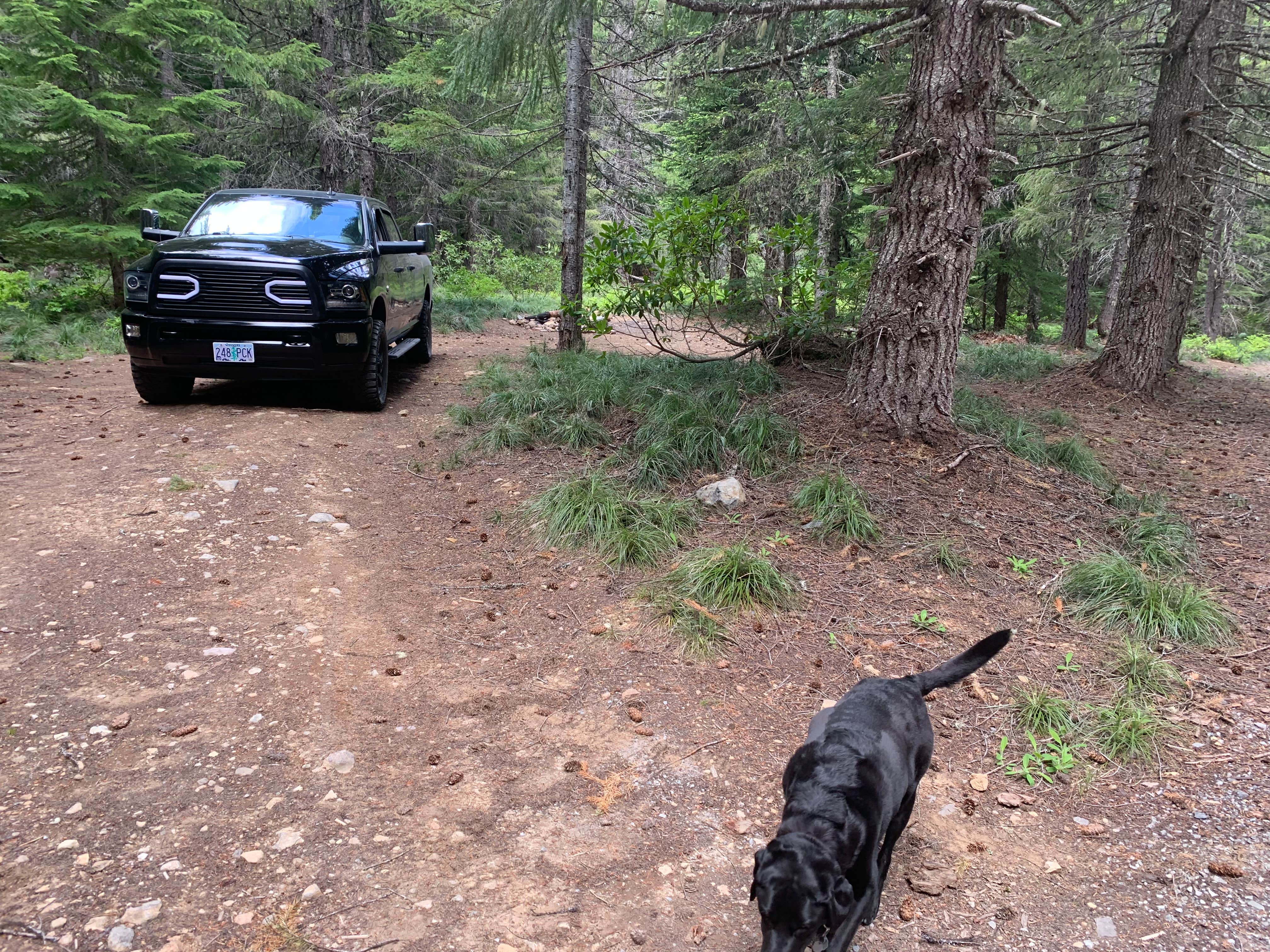 Camper-submitted photo at NF2656 - Mt. Hood Dispersed Camping near Mt. Hood National Forest