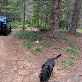 Review photo of NF2656 - Mt. Hood Dispersed Camping by Kevin L., June 17, 2023