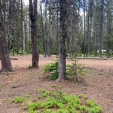 Review photo of Summit Meadows Airstrip by Kevin L., June 17, 2023