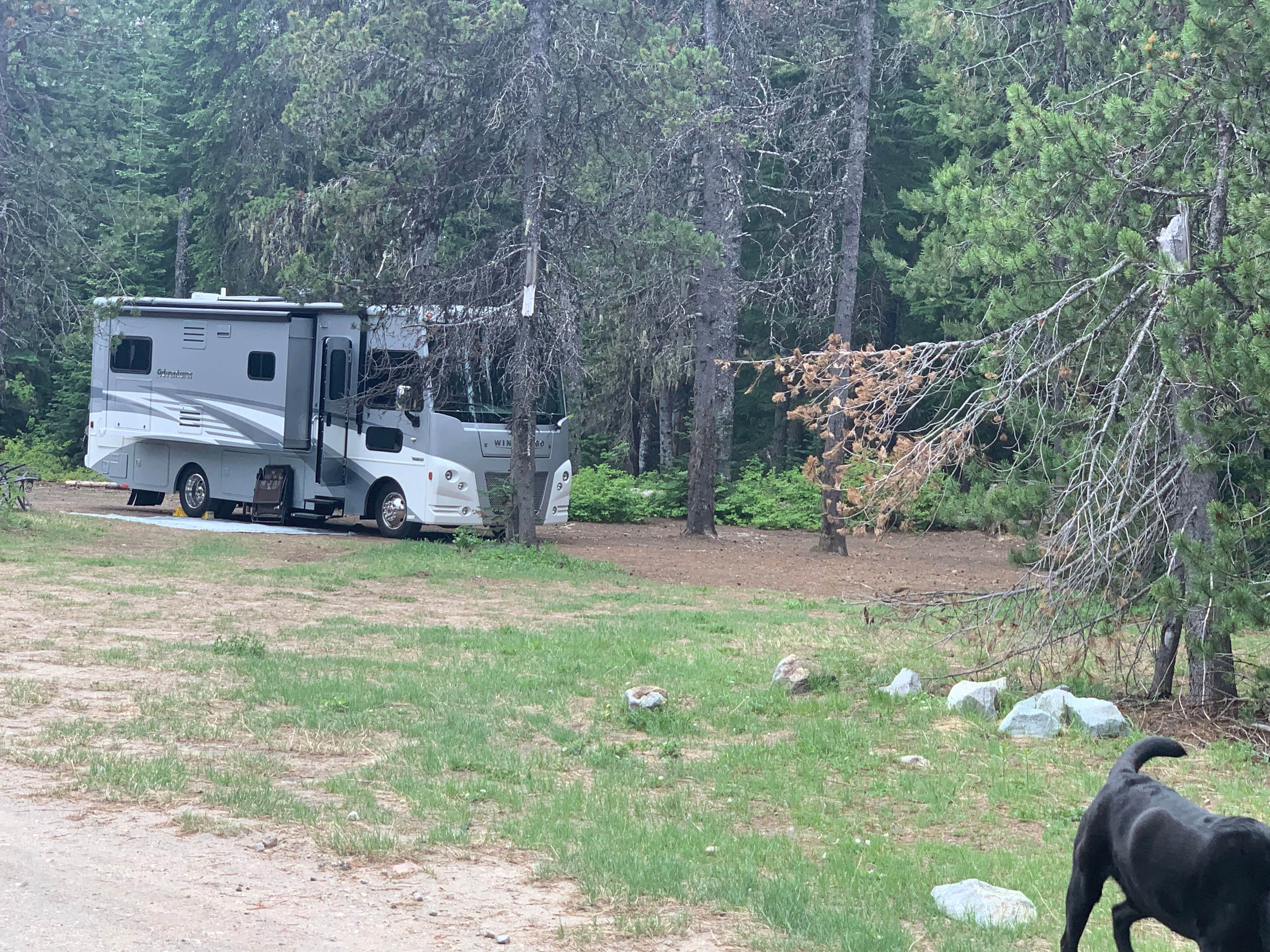 Camper submitted image from Summit Meadows Airstrip - 1