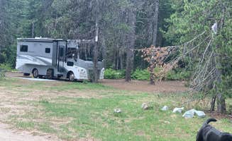 Kevin L.'s photo of camping with pets at Summit Meadows Airstrip near Mt. Hood National Forest