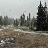 Review photo of Monarch Park by Ray & Terri F., June 17, 2023