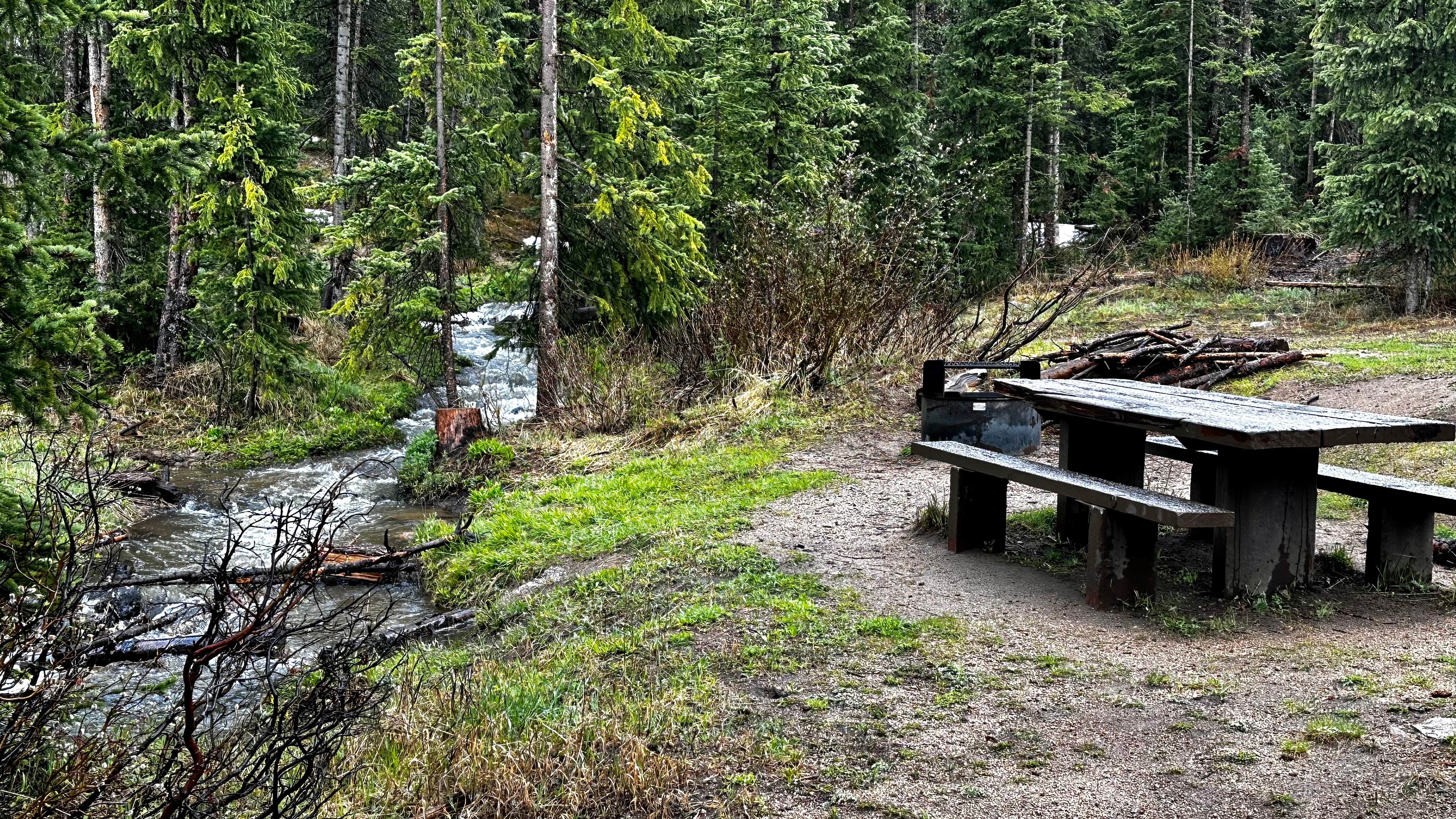 Camper submitted image from Monarch Park - 5