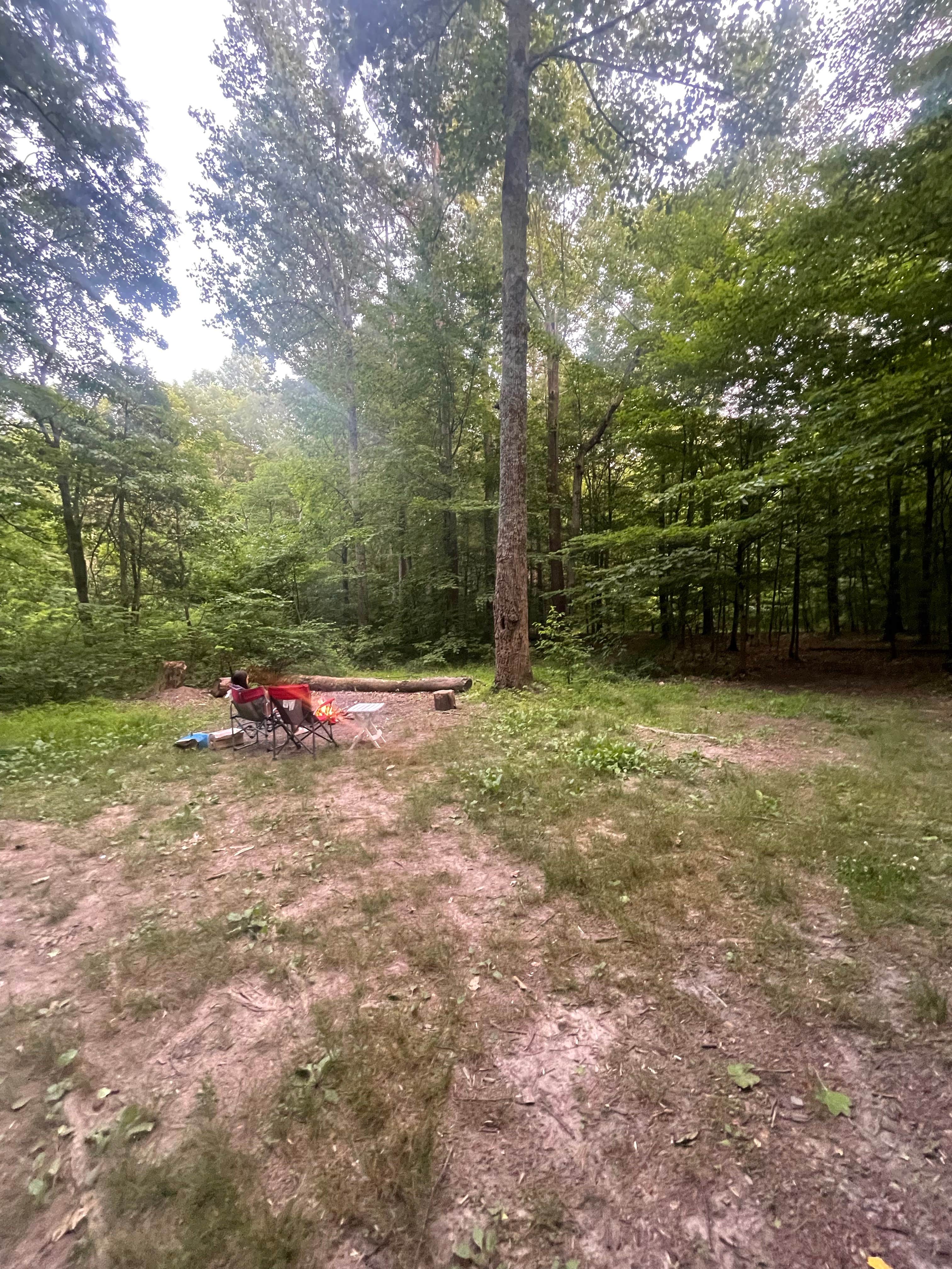 Ozzie L.'s photo of tent camping at Berry Ridge Road - Dispersed Camping near Borden, IN
