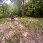Review photo of Berry Ridge Road - Dispersed Camping by Ozzie L., June 17, 2023