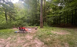Ozzie L.'s photo of tent camping at Berry Ridge Road - Dispersed Camping near Heltonville, IN