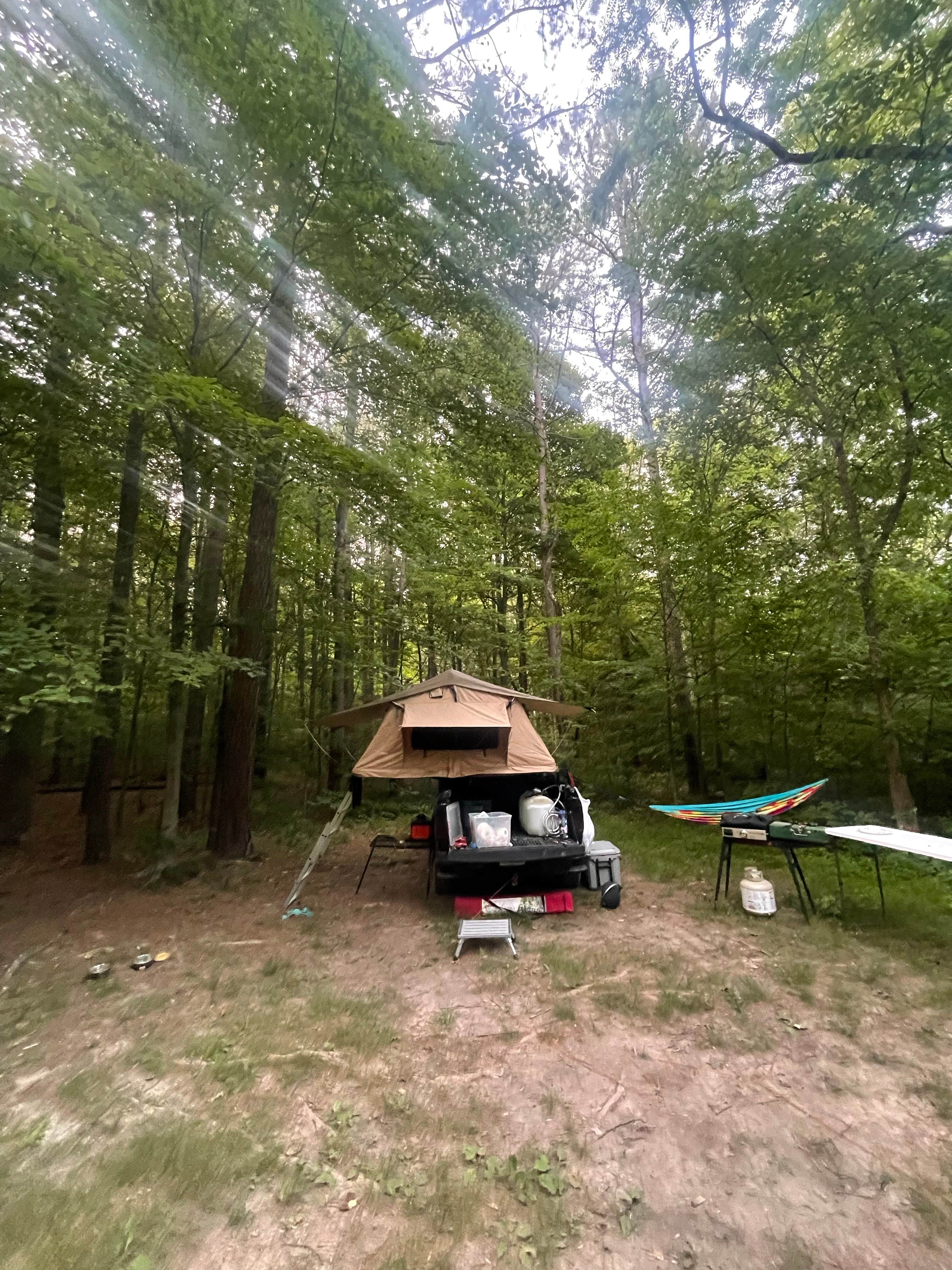 Ozzie L.'s photo at Berry Ridge Road - Dispersed Camping near Brownstown, IN