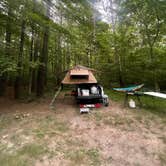 Review photo of Berry Ridge Road - Dispersed Camping by Ozzie L., June 17, 2023