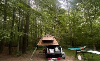 Ozzie L.'s photo at Berry Ridge Road - Dispersed Camping near Heltonville, IN