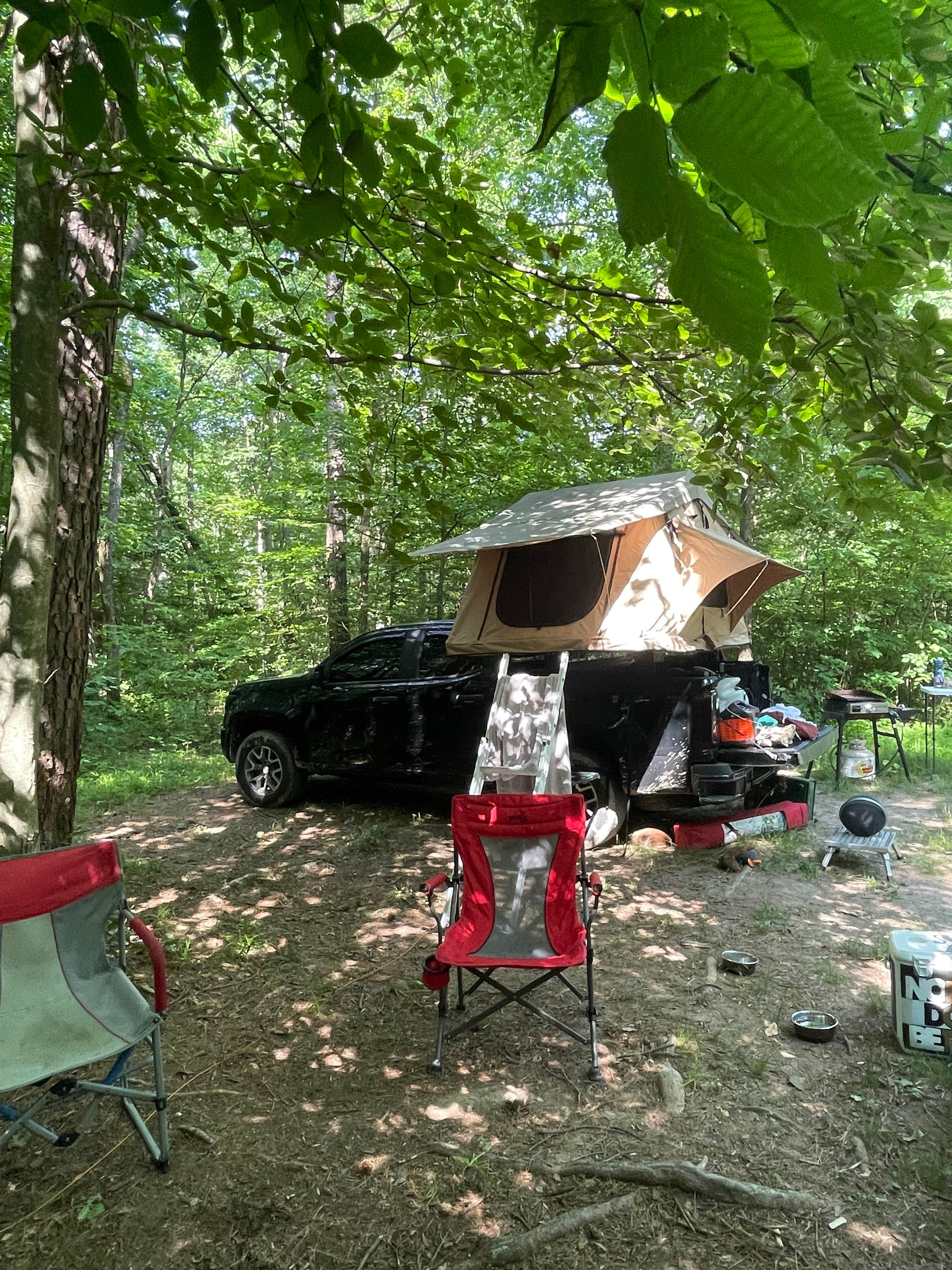 Camper-submitted photo at Berry Ridge Road - Dispersed Camping near Avon, IN