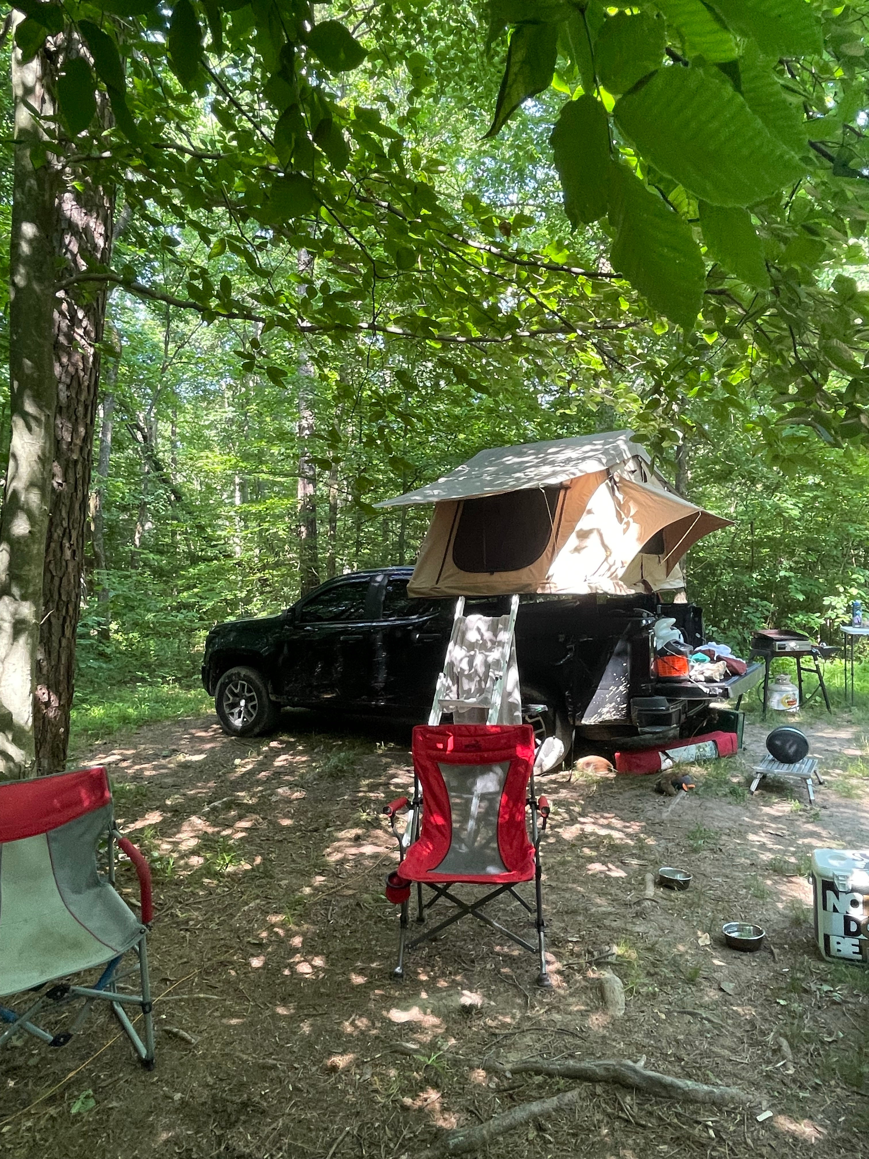 Camper submitted image from Berry Ridge Road - Dispersed Camping - 5