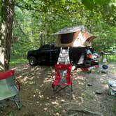 Review photo of Berry Ridge Road - Dispersed Camping by Ozzie L., June 17, 2023