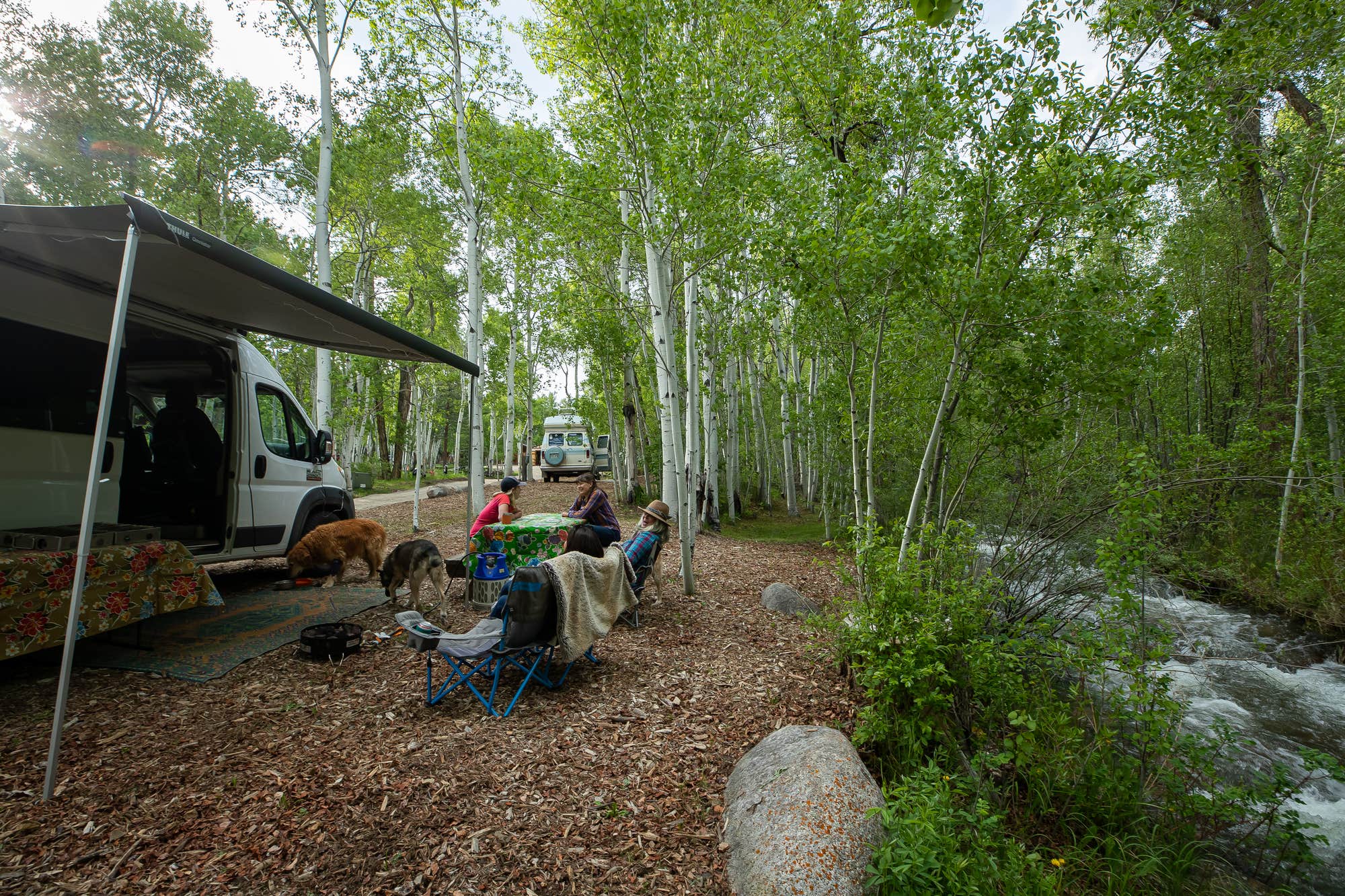 The Dyrt's photo at Creekside Chalets & Cabins near Sargents, CO