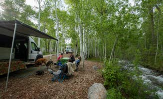 The Dyrt's photo at Creekside Chalets & Cabins in Colorado
