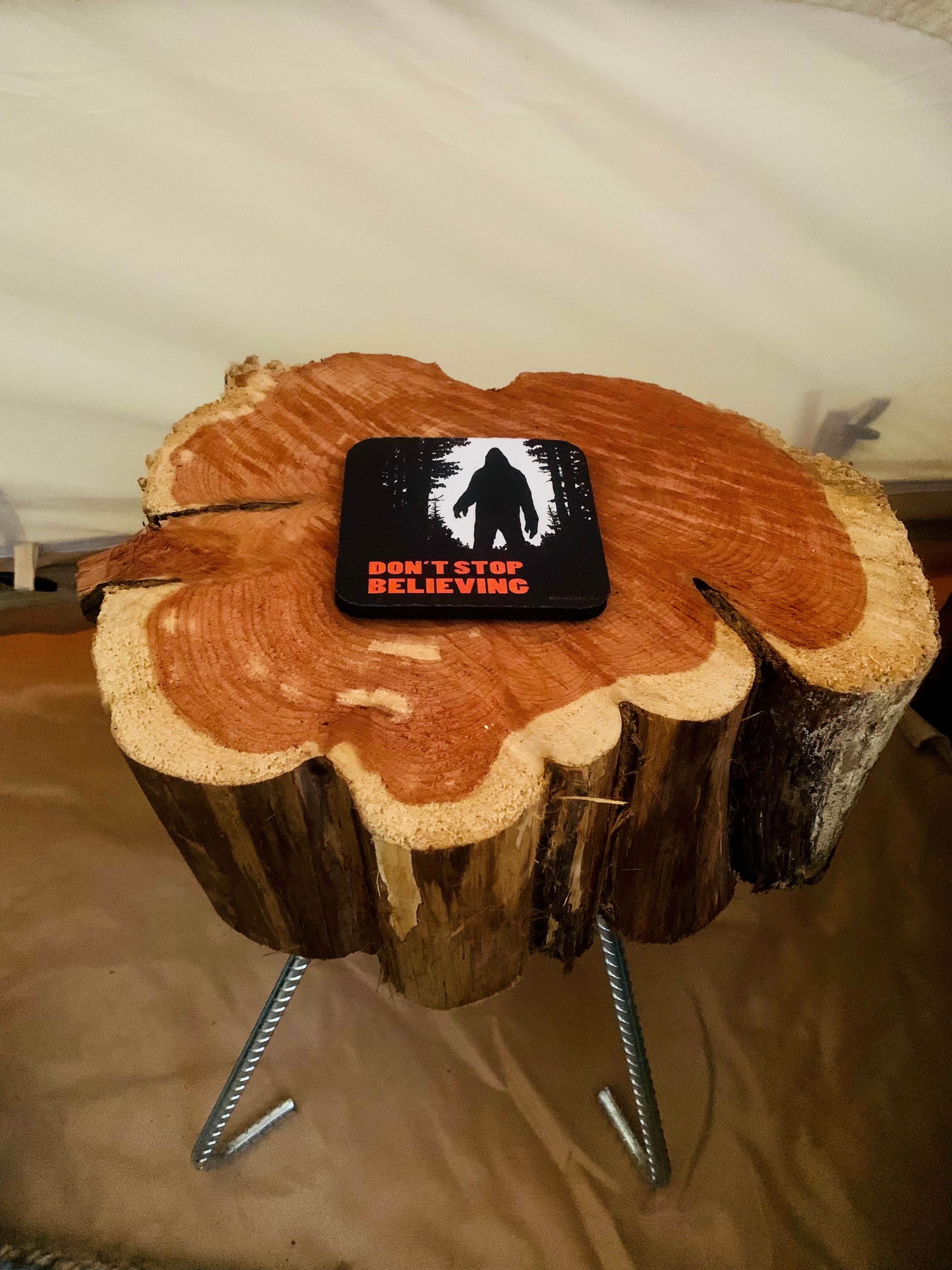 Camper-submitted photo at The Sleepy Sasquatch near Wauconda, WA