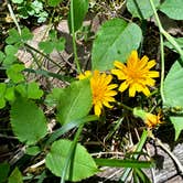 Review photo of Monte Sano State Park Campground by Rachel P., June 18, 2023