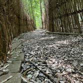 Review photo of Monte Sano State Park Campground by Rachel P., June 18, 2023