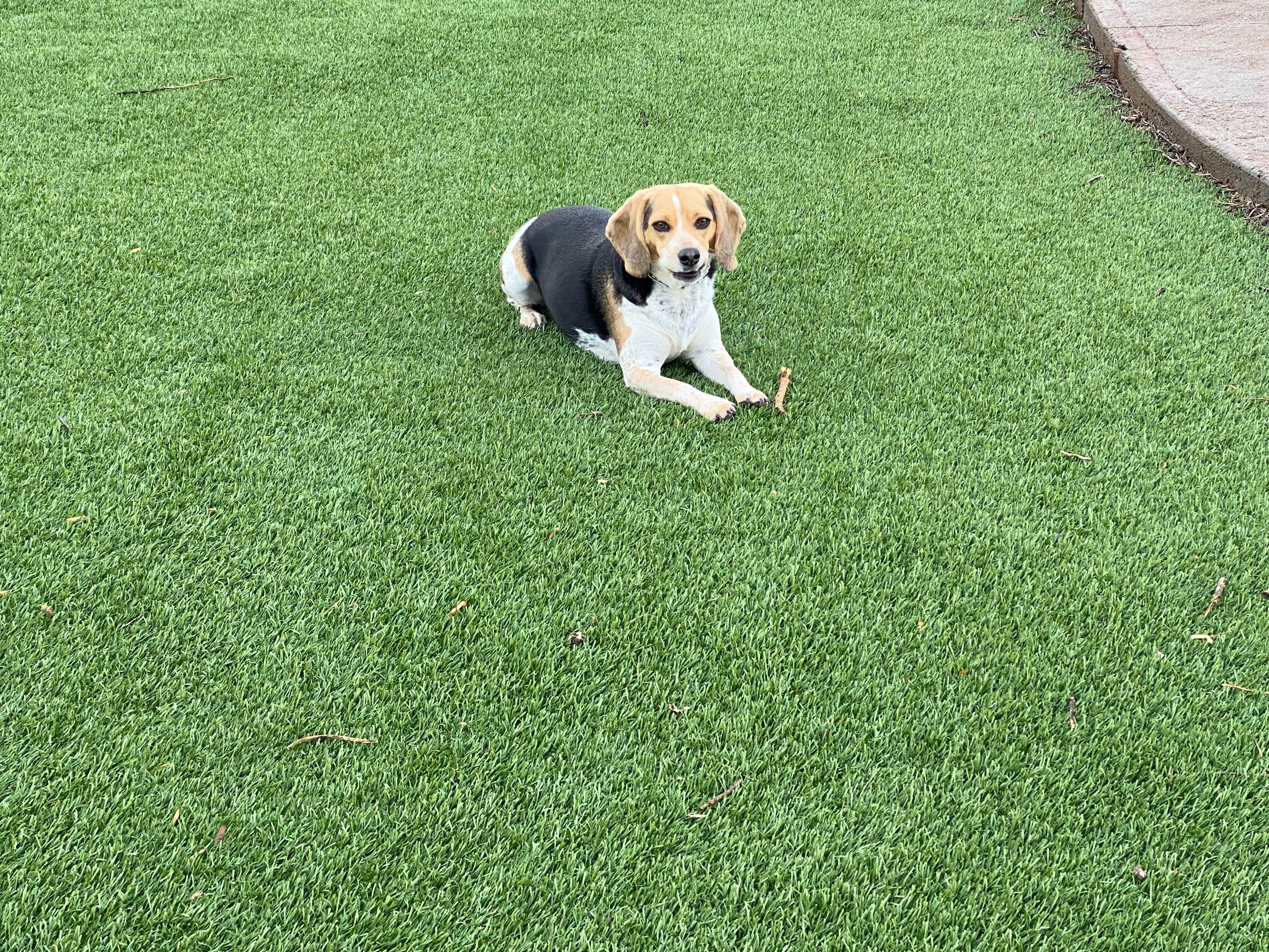 Camper-submitted photo at Sundance High Plains RV Park & Cabins near Hasty, CO