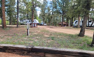 Rory L.'s photo at Golden Bell Camp and Conference Center near Florissant, CO
