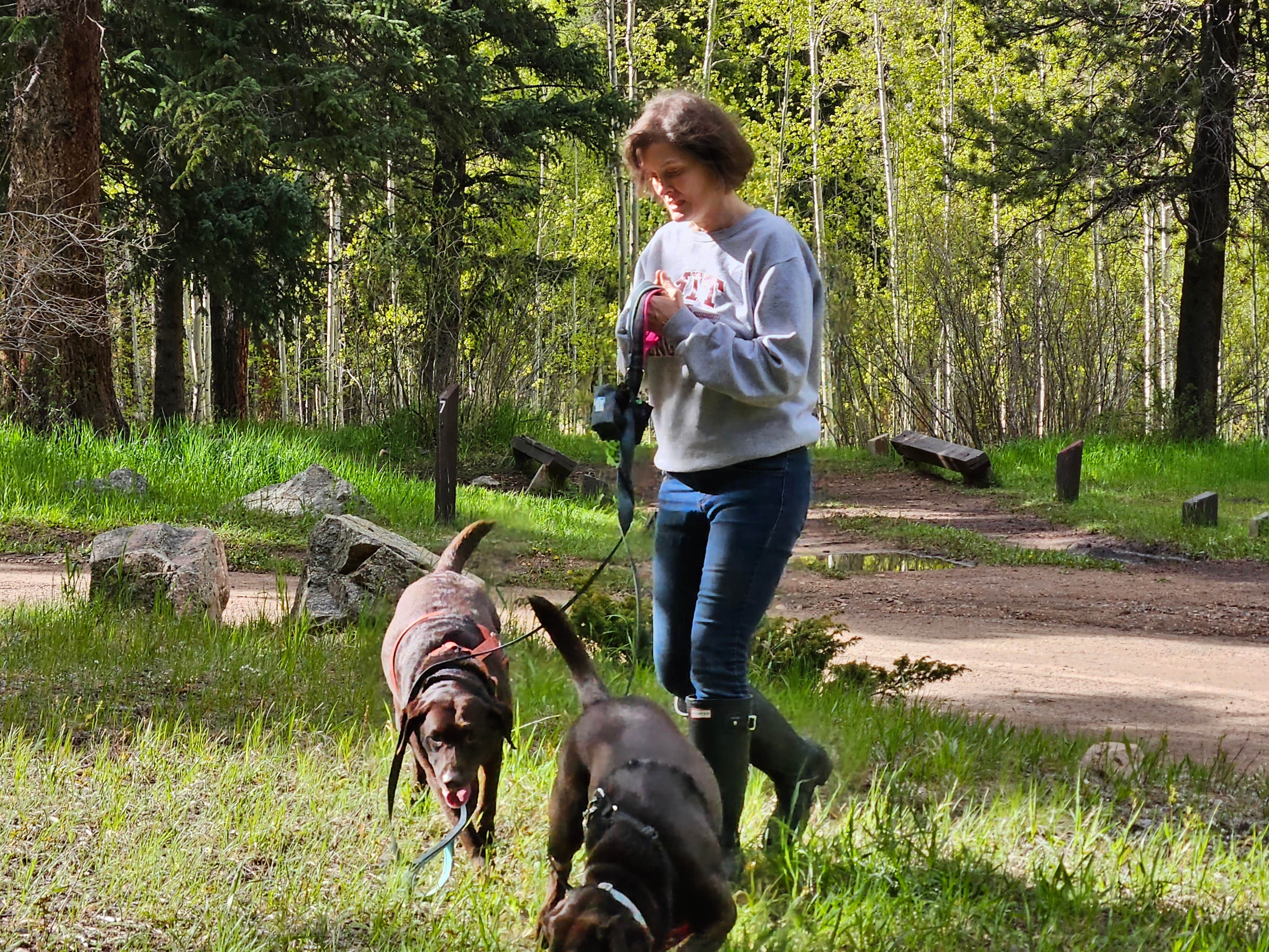 Camper-submitted photo at Deer Creek near Grant, CO