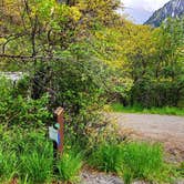 Review photo of Amphitheater Campground by Fred S., June 18, 2023