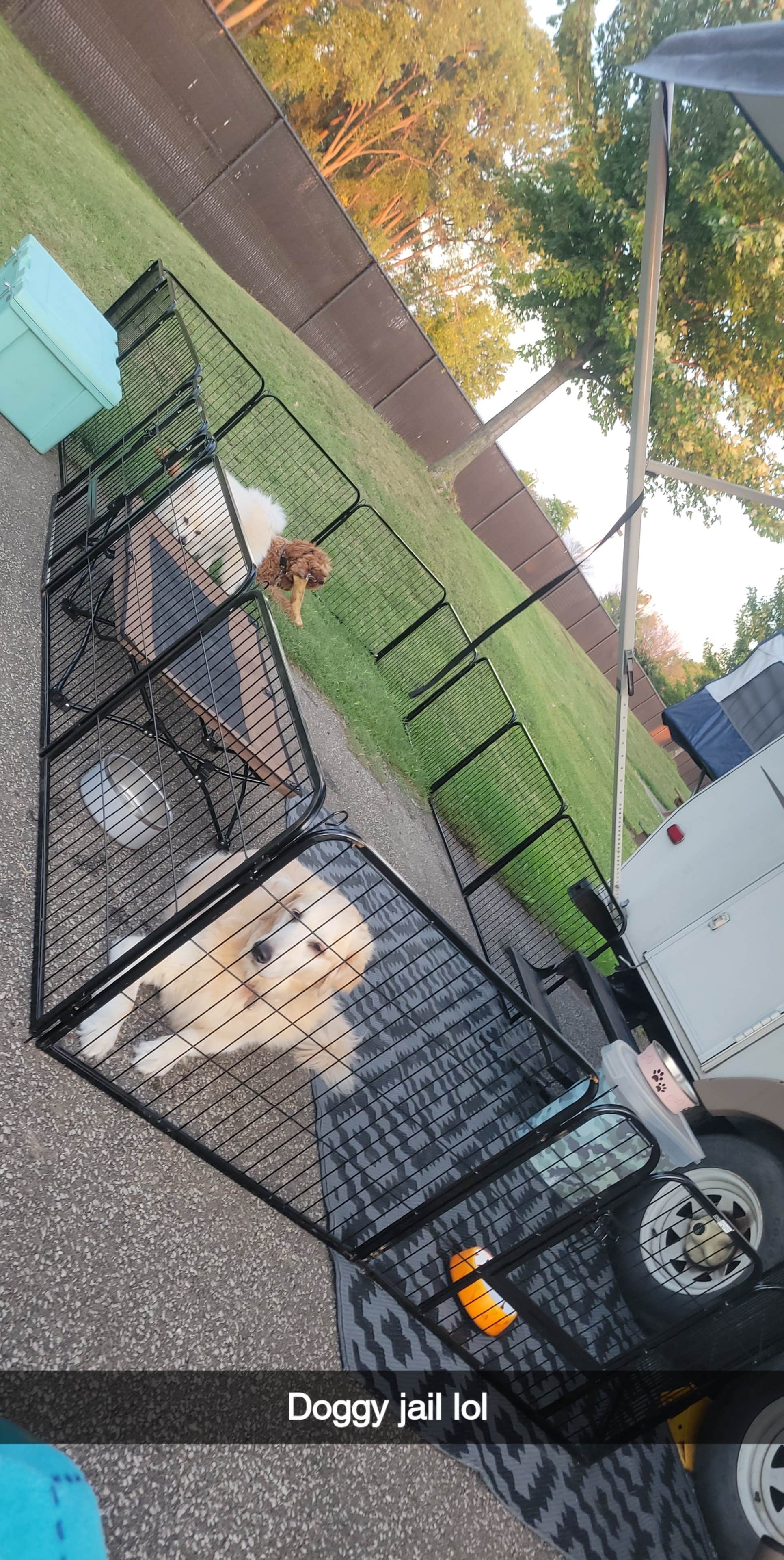 Hannah S.'s photo of camping with pets at Lampe Marina Campground near Erie, PA