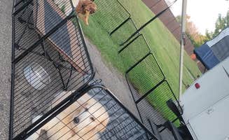 Hannah S.'s photo of camping with pets at Lampe Marina Campground near Sinclairville, NY