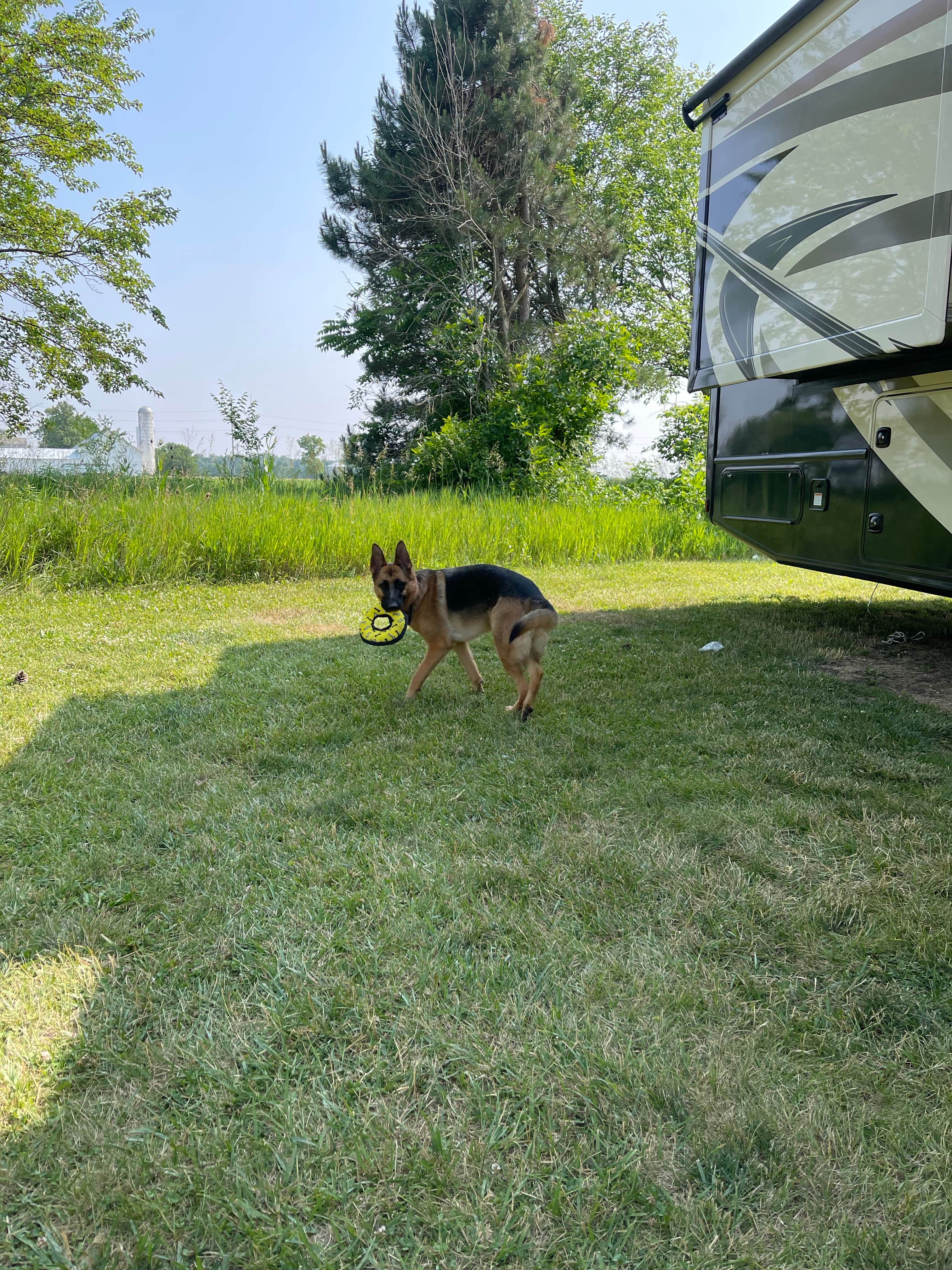 Camper-submitted photo at White Star Park Campground near Old Fort, OH