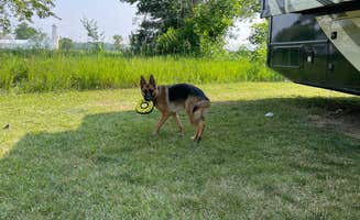 Joseph I.'s photo of camping with pets at White Star Park Campground near Swanton, OH