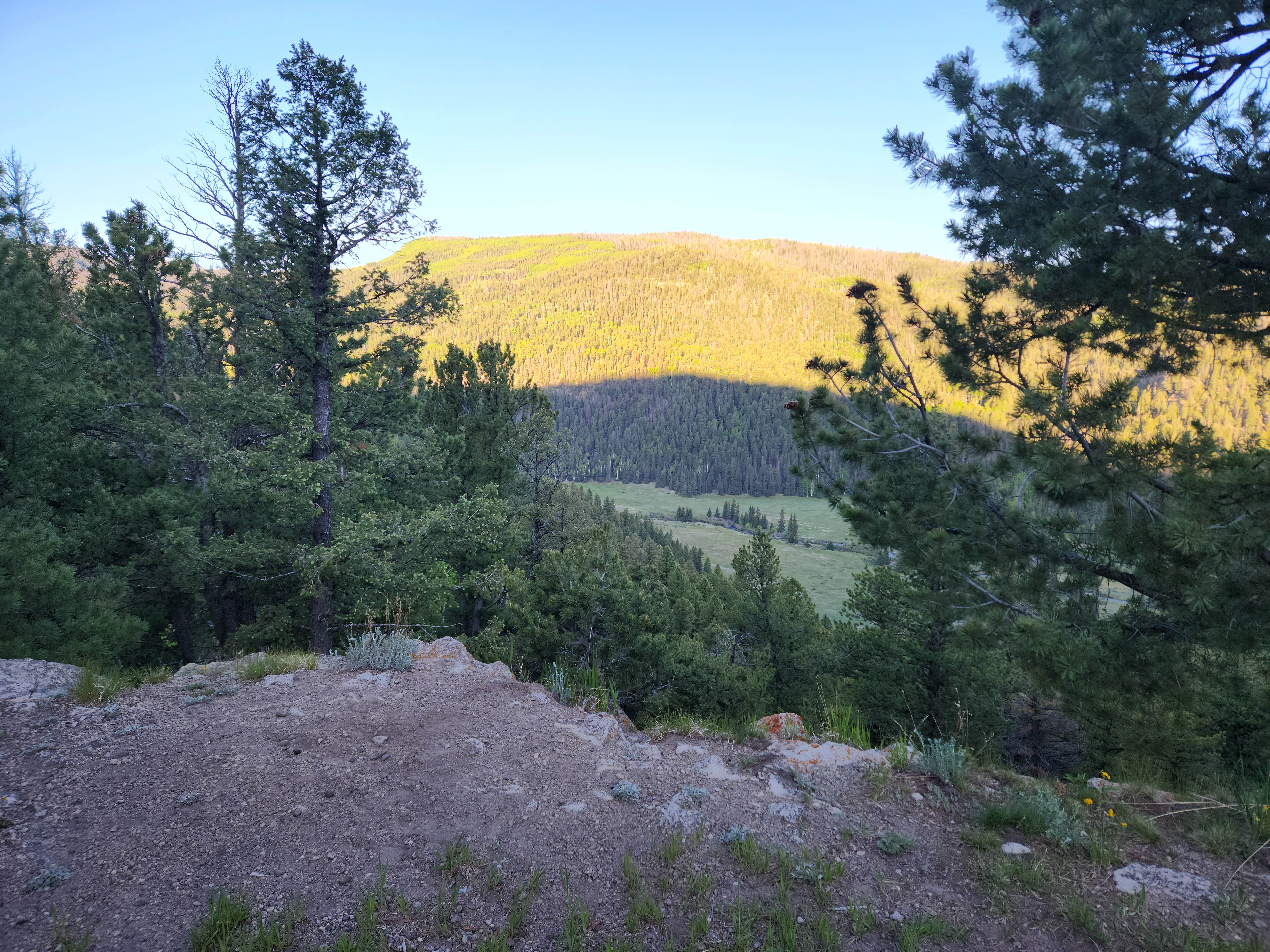 Camper-submitted photo at Beaver Creek Site 4 near Del Norte, CO