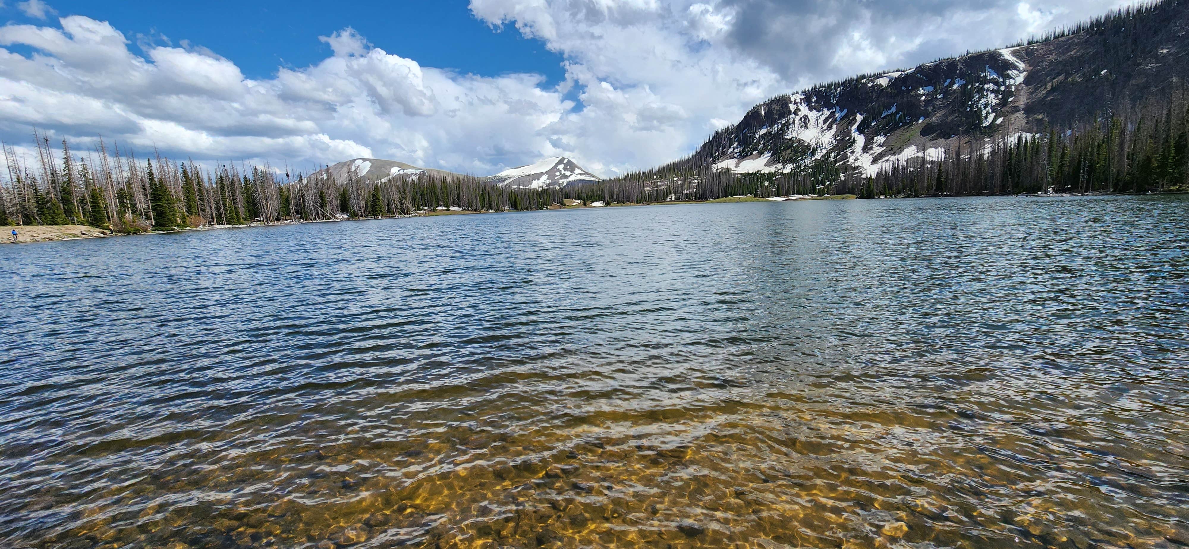 Justin Edward V.'s photo of a dispersed camping area at Beaver Creek Site 4 near Pagosa Springs, CO