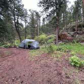 Review photo of Aspenglen Campground — Rocky Mountain National Park by Brady J., June 18, 2023