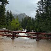 Review photo of Aspenglen Campground — Rocky Mountain National Park by Brady J., June 18, 2023