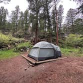 Review photo of Aspenglen Campground — Rocky Mountain National Park by Brady J., June 18, 2023
