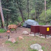 Review photo of Aspenglen Campground — Rocky Mountain National Park by Brady J., June 18, 2023