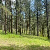 Review photo of Bismarck Lake Campground by Nate K., June 18, 2023