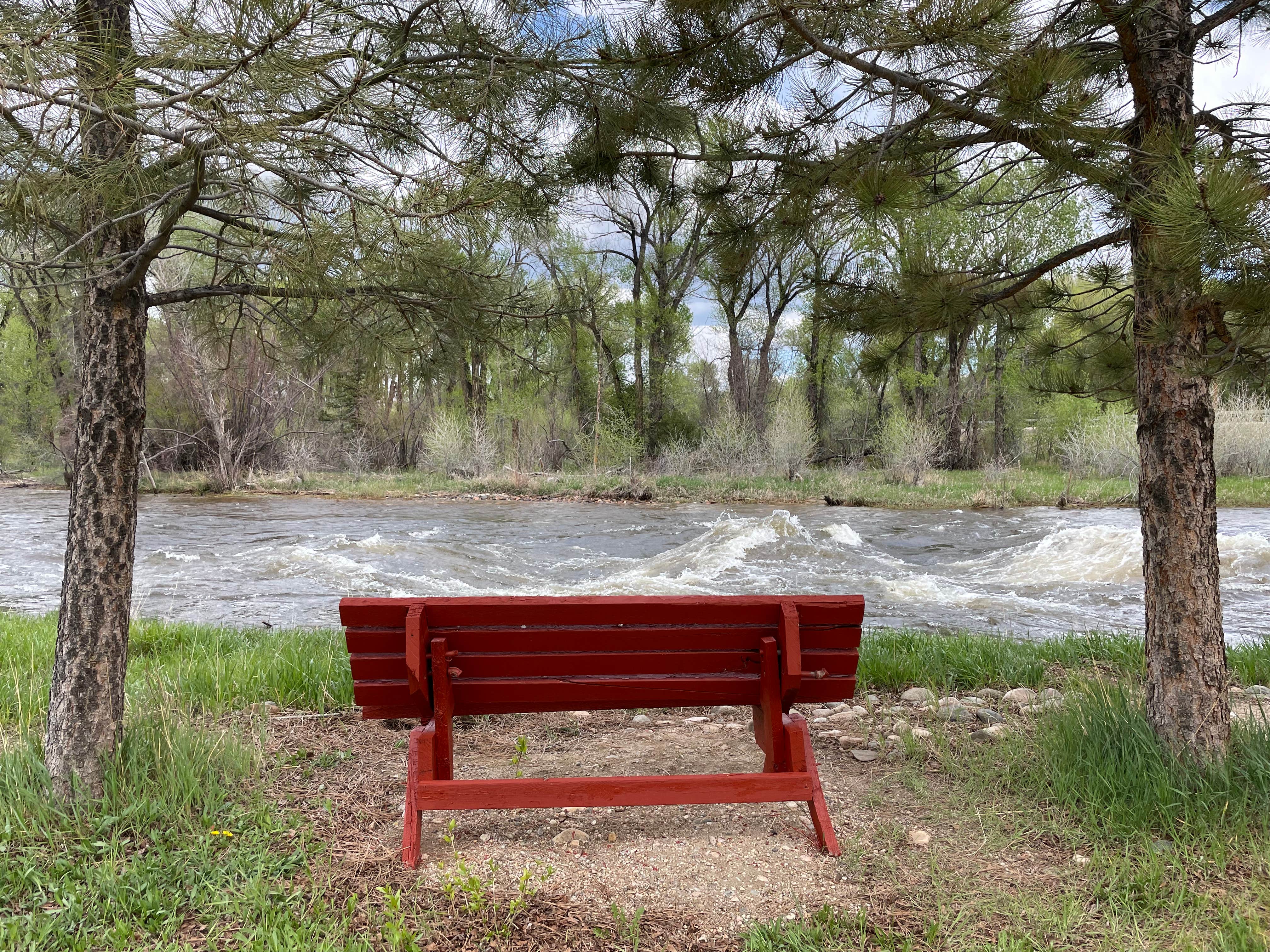 Camper-submitted photo at Lazy Acres Campground and Motel near Encampment, WY