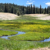 Review photo of Uinta Flat Dispersed by Steffy V., June 18, 2023